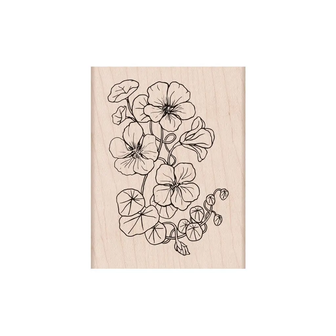 Hero Arts - Handmade Rubber Stamp: Flowering Nasturtium