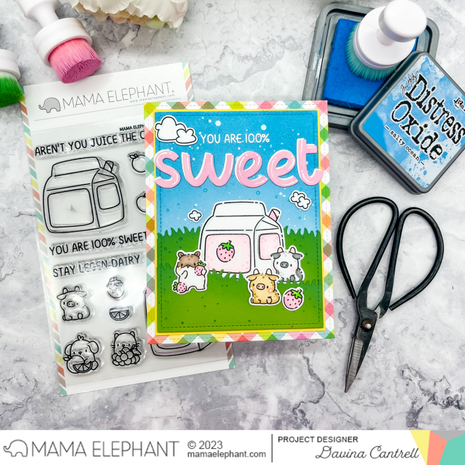 Mama Elephant - Clear Stamps: BOXED DRINKS